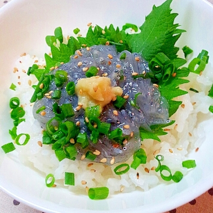 薬味たっぷり 新鮮 生しらす丼 レシピ 作り方 By ラズベリっち 楽天レシピ 薬味たっぷり 新鮮 生しらす丼 レシピ 作り方 By ラズベリっち 楽天レシピ